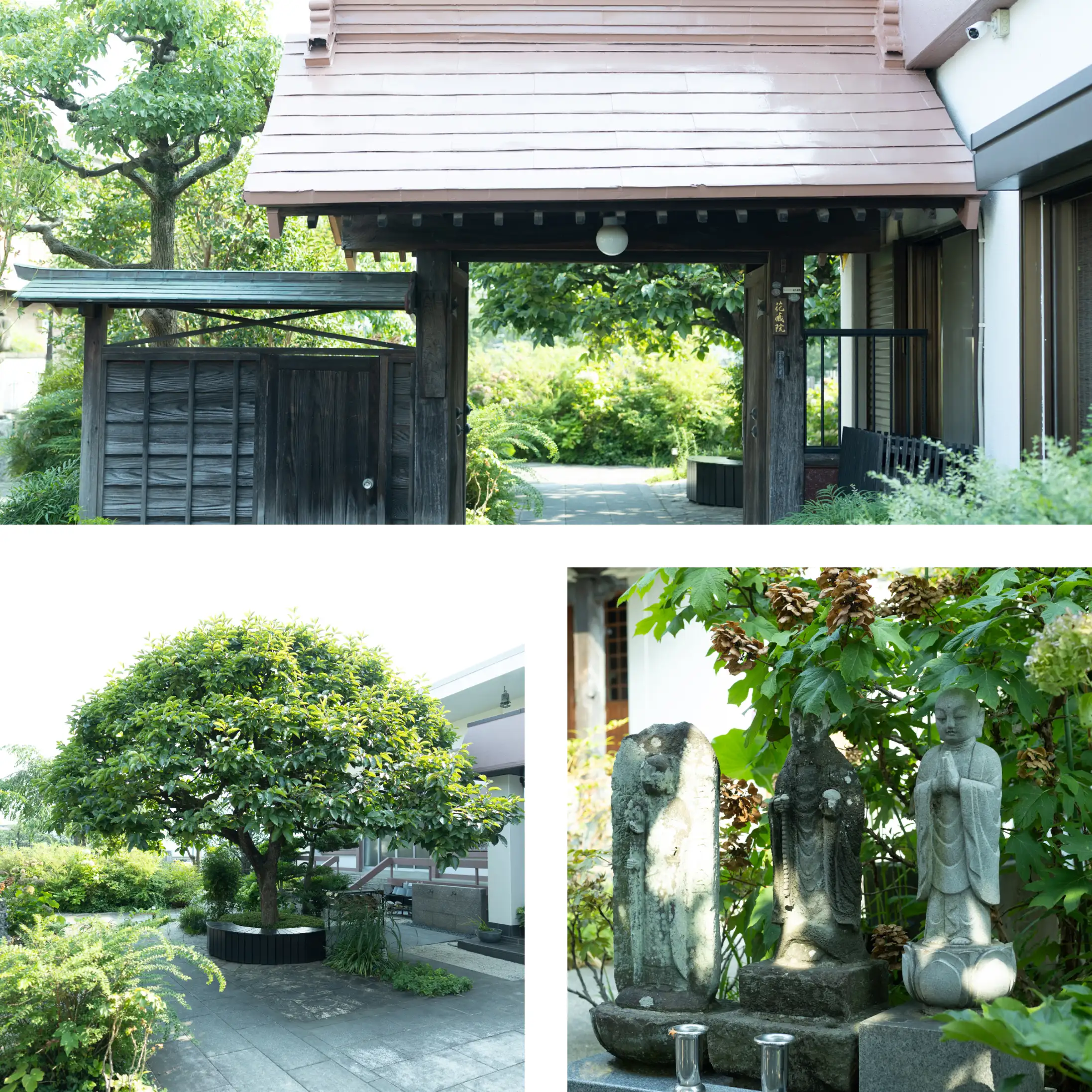 四季折々の樹木溢れる花蔵院のイメージ