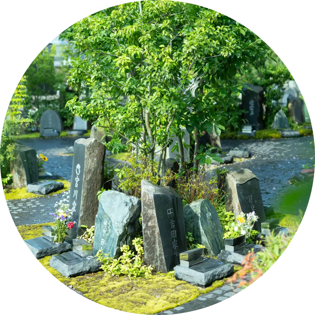 ［屋外］ 庭のお墓 個別墓 一石想