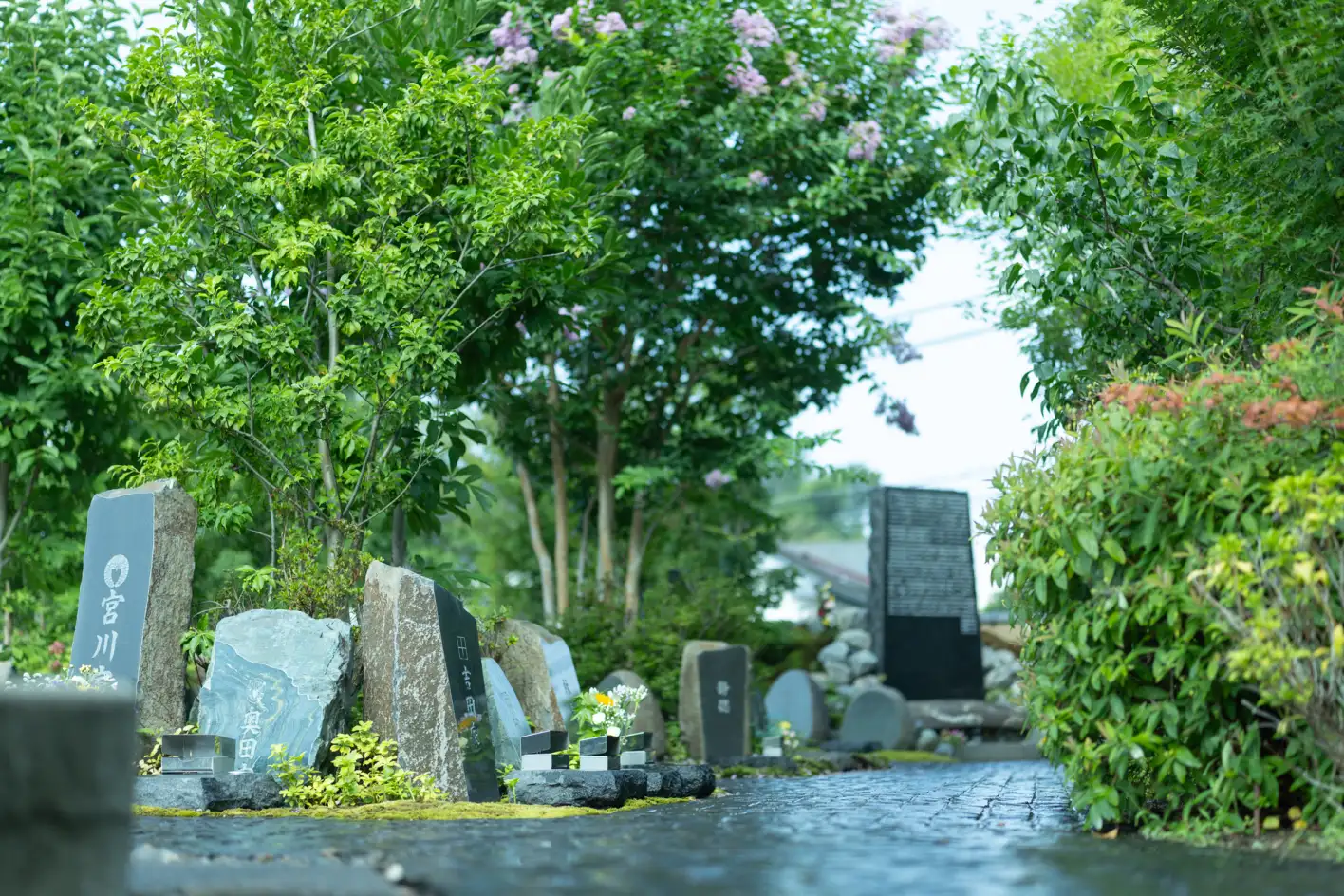 ［屋外］庭のお墓 集合 巨石想